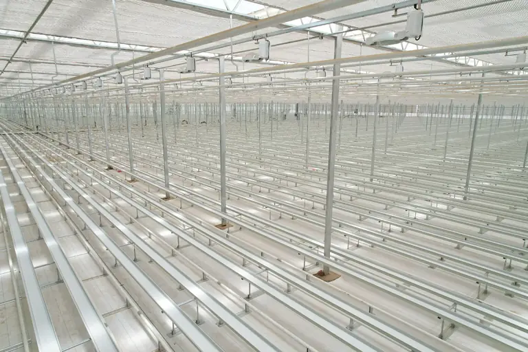 100,000 sqm Cut Flower Gutter Project in Lanzhou - greenhouse cultivation system hero image by Chanscen