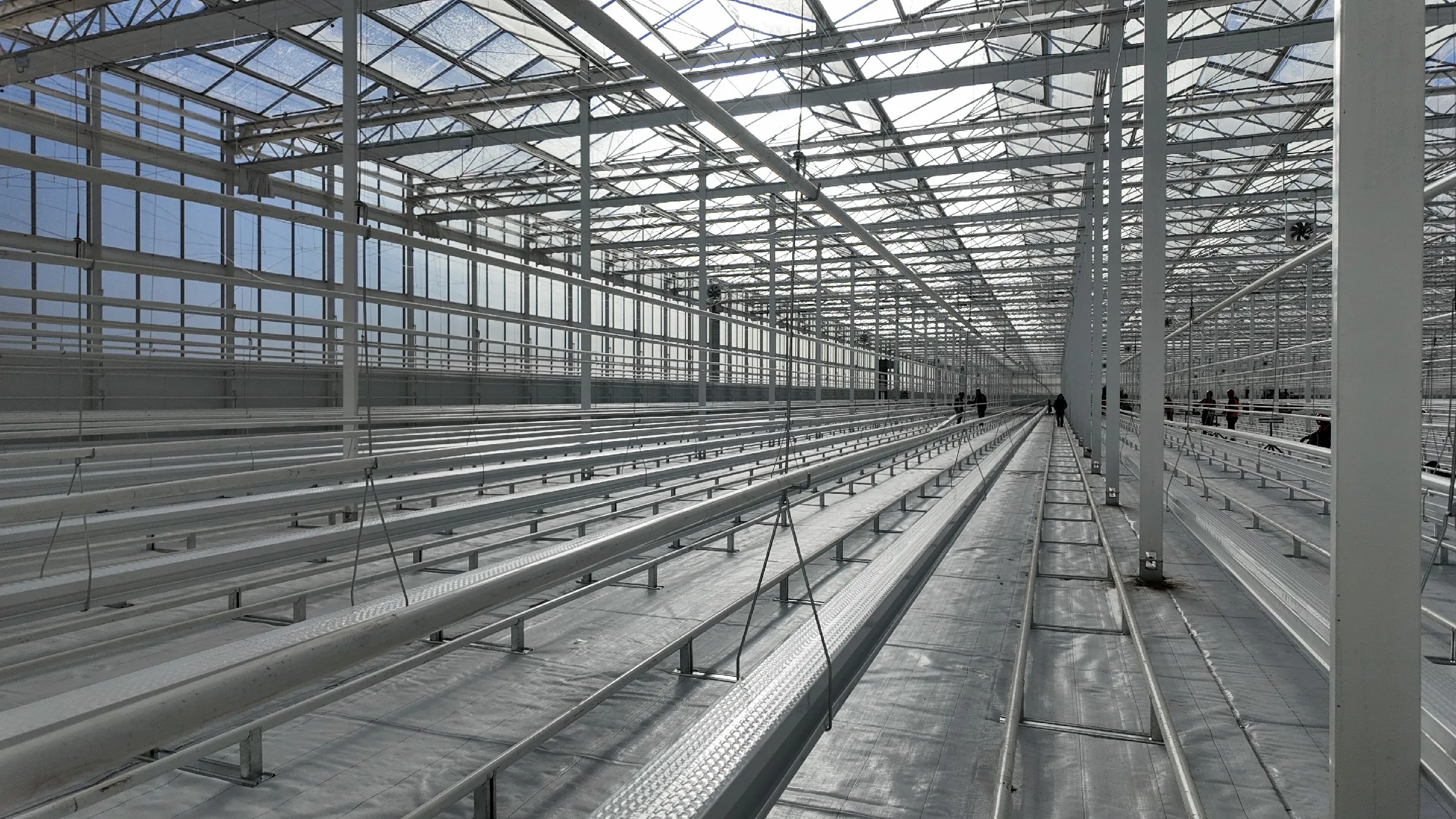 Blueberry Greenhouse Growing System - greenhouse product or project by Chanscen
