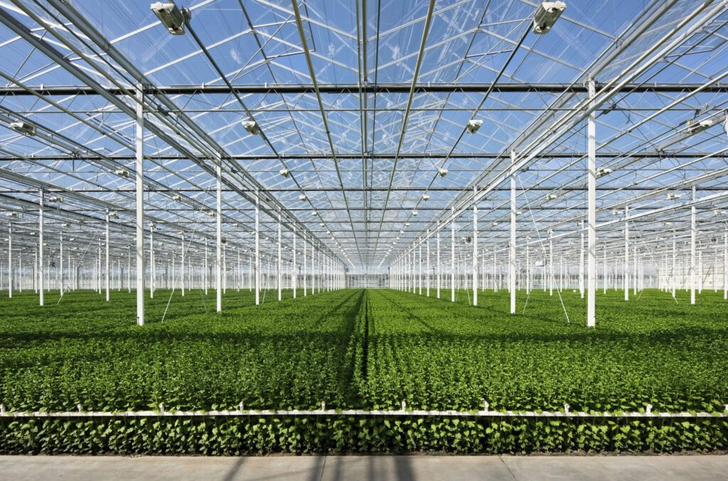 greenhouse planting system manufacturer