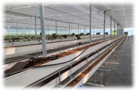 PVC cultivation trough 1