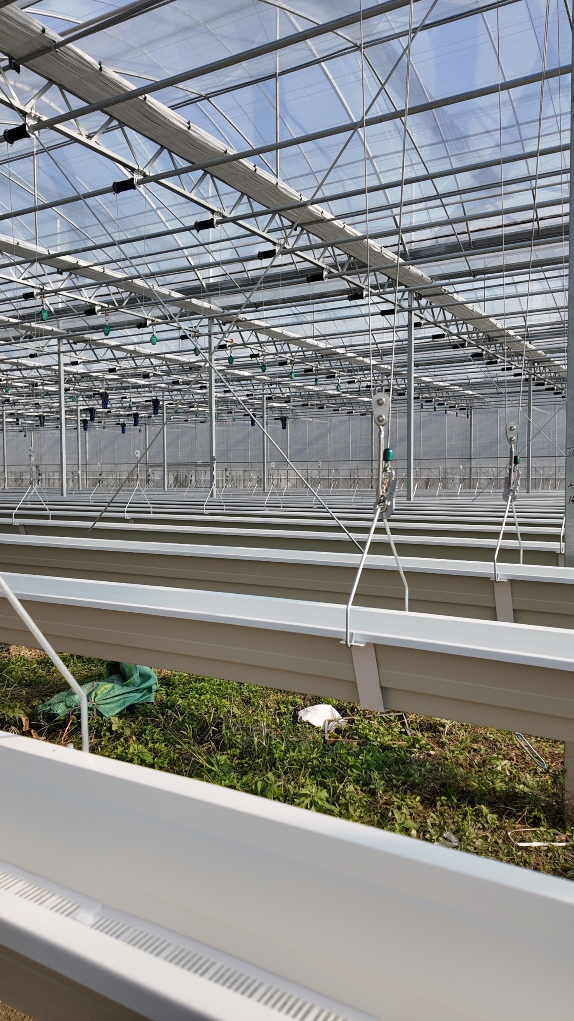 adjustable strawberries 1