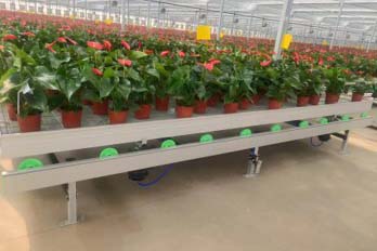 automated logistics seedbed 1