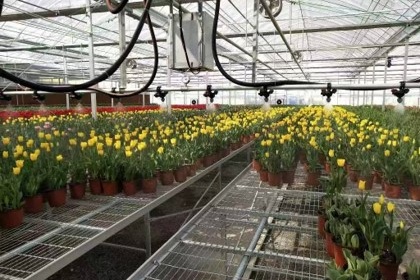 automatic irrigation system