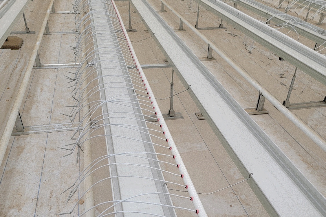 dual-row rack 1
