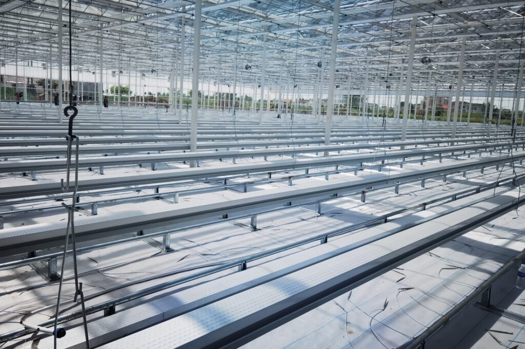 tomato cultivation trough 2