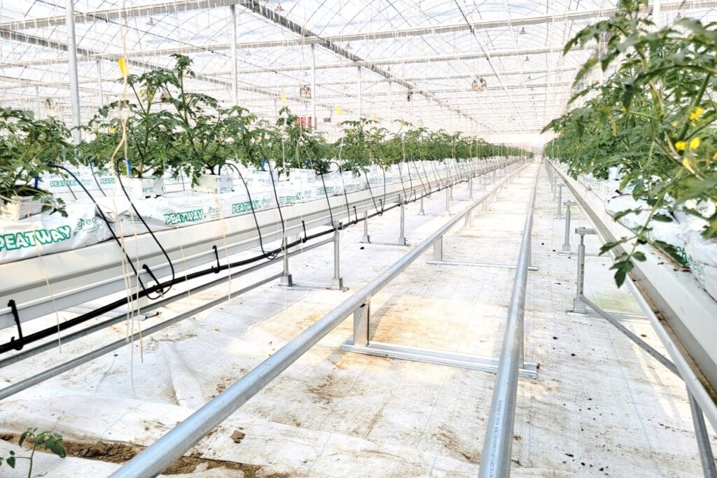 track support and track elbow 1