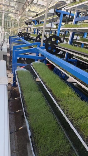 vertical rotating seedbed 1