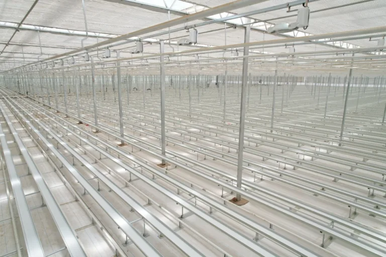 cut-flower-cultivation-1