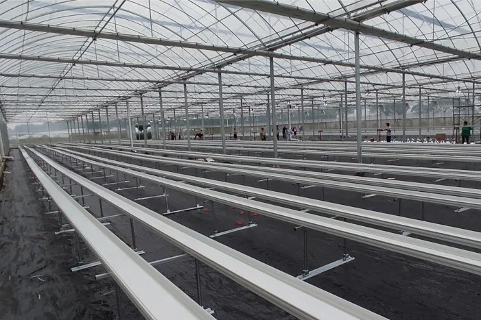 cut-flower-cultivation-trough