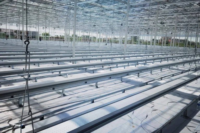 tomato-cultivation-trough-2