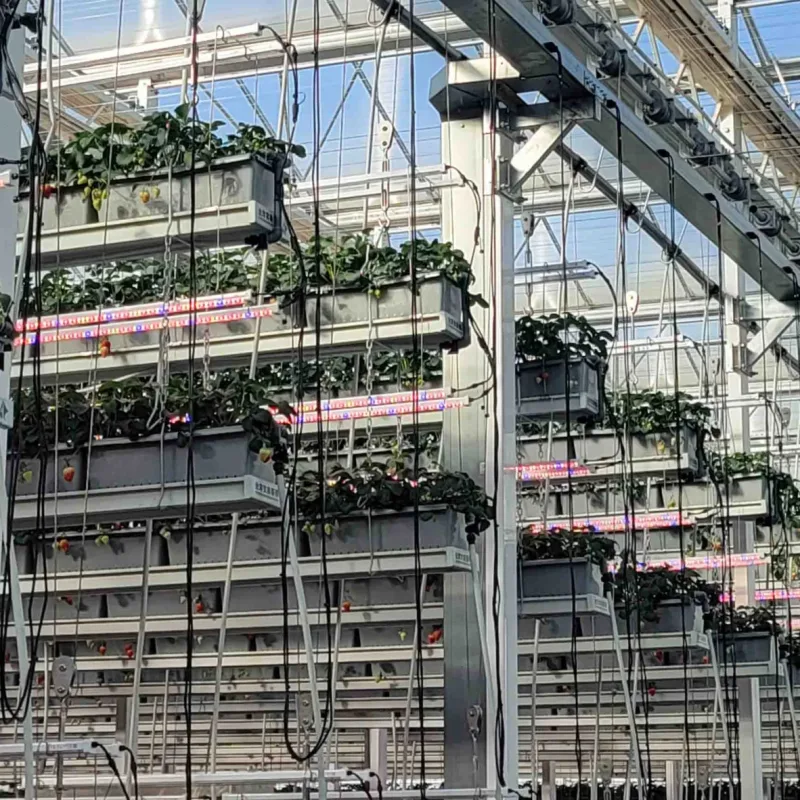 Chanscen vertical farm